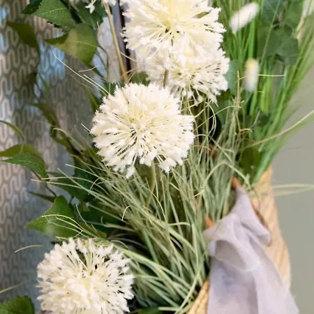 Residenza Alma Апарт-отель