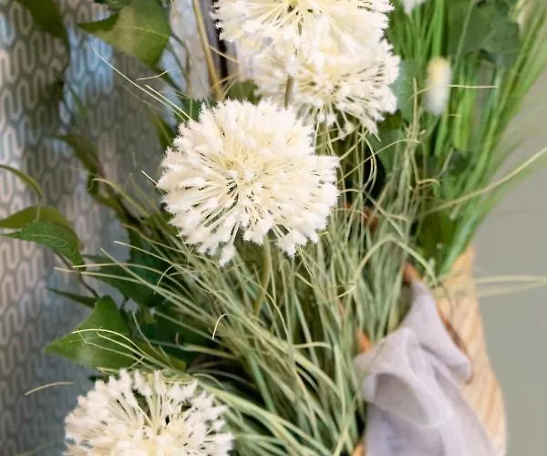 Residenza Alma Aparthotel